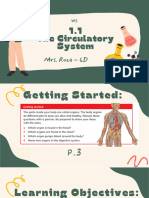 1.1 Circulatory System