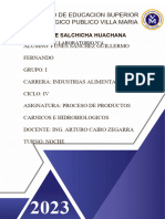 Informe de Salchicha Huachana Proyecto 4