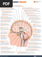 Procurement Brain 1687220944