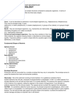 1.3 Bacterial Morphology