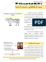 12 AVALIAÇÃO DE CARCAÇA E QUALIDADE DE CARNE NO BRASIL - Transcrição