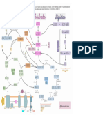 Mapa Metabolico 2