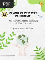 Informe Proyecto de Cyt