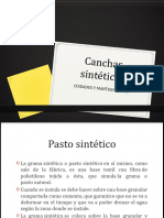 Canchas Sinteticas