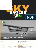 Teoria de Voo - Sky Eagles