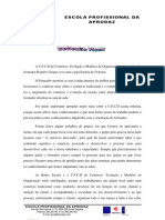 Reflexão Comércio-Evolução e Modelos de Organização