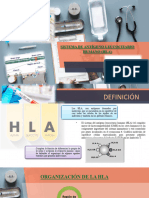 Sistema de Antígeno Leucocitario Humano (Hla)