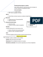 Clases Funcionales 1. Sensitivos 2. Interneuronas 3. Motoras