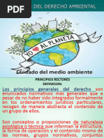 Clase 2 Principios Del Derecho Ambiental