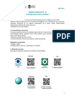 TP11 - Fisiología de La Visión y Audición - 2023