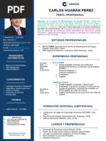 Formato de CV Cetemin