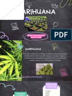 Marihuana