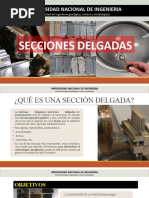 Secciones Delgadas