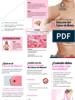 Triptico Cancer de Mama