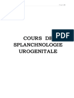 Cours de Splanchnologie Urogenitale