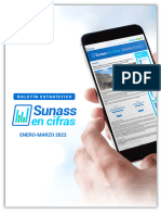 Sunass en Cifras 5 1