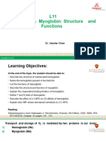 L11 Hemoglobin Structure-Function