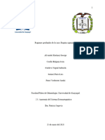 Grupo #2 - Regiones Profundas de La Cara - Región Cigomática-2