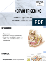 V Par Nervio Trigémino