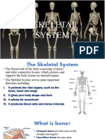 Skeletal System