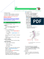 06a - Introduction To Spinal Cord - Neuroanatomy