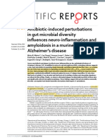 Gut Health, Inflammation, and Amyloidosis