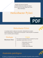 Helicobacter Pylori