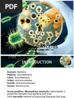 Actinomycetes: Click To Edit Master Subtitle Style