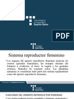 Aparato Reproductor Femenino