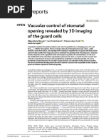 Vacuolar Control of Stomatal Opening Revealed by 3D Imaging of The Guard Cells