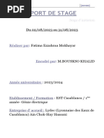 Rapport de Stage