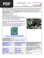 Fiche Presentation Cedrela Fissilis