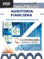 Idoc - Pub Auditoria A Los Activos Biologicos