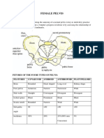 1 .Female Pelvis