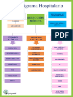 Organigrama General Hospitalarioplantilla Archivo