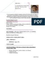 CV de Andres Flores Actual