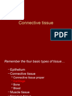 Connective Tissue