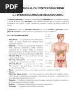 Paciente Endocrino