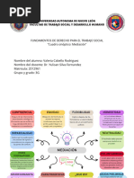 VCR - Cuadro Sinoptico - 3 G