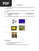 Chapter 3 Lesson 2 Algae