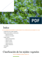 Tejidos Vegetales (Tema 3)