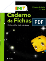 PLIM Estudo Do Meio Caderno de Fichas 1º Ano