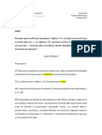 Plan Détaillé de L'exemple de Dissertation Comparative