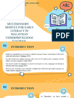 Multisensory Module Presentation