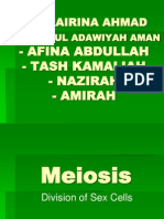 MeiosiSs Power Point