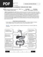 Guia No4 Biologia 1omedio Junio