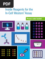 In Cell Western Reagents Ebook