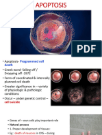 APOPTOSIS