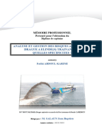 Analyse Et Gestion Des Risques À Bord D'une Drague À Élinde Trainante. Quelles Spécificités