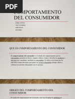 Comportamiento Del Consumidor